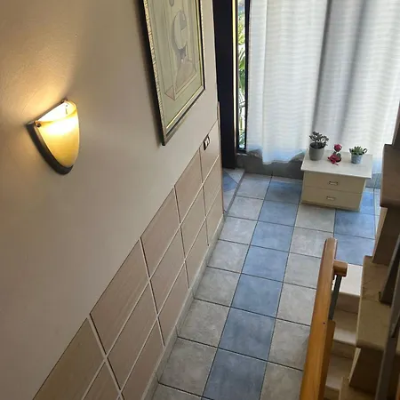Ideal Shkodër